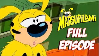 The Marsupilami in the Ring  Marsupilami  ZeeToons  Cartoons for All 📺 [upl. by Moulden]