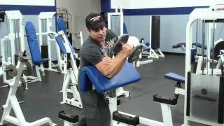 Dumbbell Hammer Curls On The Preacher Curl Bench [upl. by Ierdna]