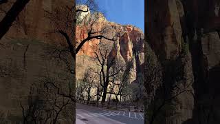 Temple of Sinawava Shuttle Stop At Zion National Park nature zionnationalpark [upl. by Yhtamit]