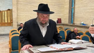 Rabbi Weiss recites the Haftorah  Asarah B’teves 5784 [upl. by Nyrehtak298]