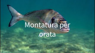 SurfcastingMontatura scorrevole per orata [upl. by Kyne]