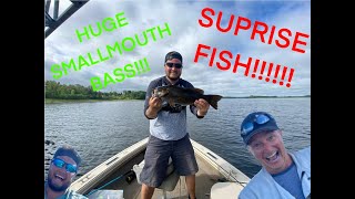 Huge smallmouth bass fishing the Saint John river Canadian Fishing [upl. by Belldame]