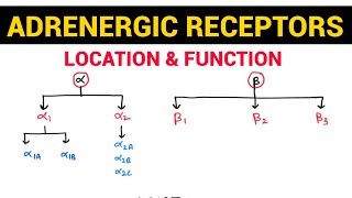 017 Two Types of Receptors [upl. by Enreval]