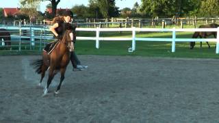 Handicap Reiten  Kira gehn die Pferde durch D [upl. by Anawd]