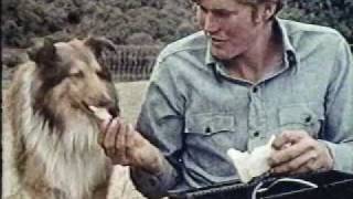 CBS Specials Little Shepherd Dog Of Catalina Mayflower TV Movie [upl. by Anilek]