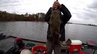 Lake Murray Fall Crappie How To catch Um [upl. by Ettenuahs]