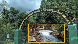 Kalakkad Mundanthurai Tiger Reserve  Thalayanai  Tirunelveli  களக்காடு முண்டந்துறை [upl. by Anirdnaxela216]