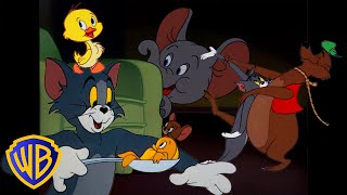 Tom y Jerry en Latino  ¡Todos los animales de Tom y Jerry 🐣🐭  El mes del animal  WBKidsLatino [upl. by Ahcsatan]