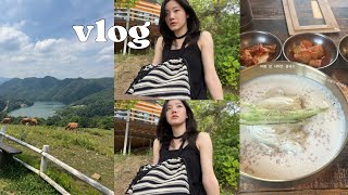 나 홀로 첫 여행 VLOG🚘  춘천여행국내여행춘천맛집춘천숙소여행지추천콩국수사랑춘천양떼목장숙소추천일기스테이닭갈비맛집육림닭강정먹부림여행 [upl. by Artur550]