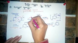 pyridine synthesis  guareschi synthesis [upl. by Bucella84]