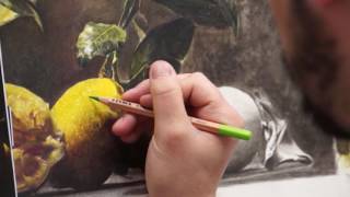 Hyperrealism drawing  Composition of lemons  Emanuele Dascanio [upl. by Oibirot]