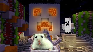 Hamster in Roller Coaster Minecart Halloween Maze [upl. by Ephrem654]