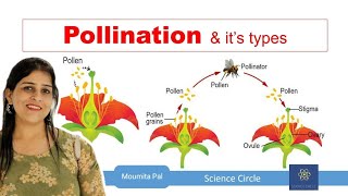 Self amp Cross Pollination  Sexual Reproduction in Plants II Agents of Pollination II [upl. by Godspeed]