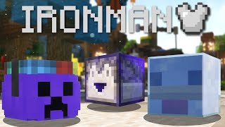 Collecting all the EASY talismans on IRONMAN Hypixel Skyblock [upl. by Hogue]