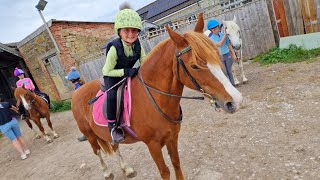 HORSE RIDING LESSONS WITH CHARLOTTE TROTTING CANTERING POLE WORK 2024 [upl. by Sabina]