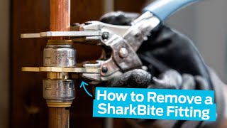 How to Remove a SharkBite PushToConnect Fitting [upl. by Anieral]