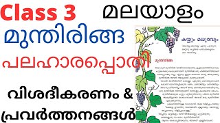 Class 3 Malayalam Unit 2 മുന്തിരിങ്ങ പ്രവർത്തനങ്ങൾ Class 3 Kerala padavali munthiringa Activities [upl. by Florri516]