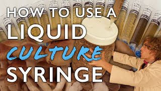 How to Use a Liquid Culture Syringe to Inoculate Grain Spawn the First Step in Mushroom Cultivation [upl. by Leupold]