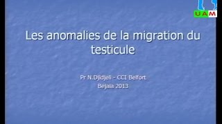 Conference du Pr Djidjeli  Les anomalies de la migration du testicule [upl. by Hertzfeld235]