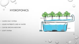 Soilless farming presentation [upl. by Lama980]