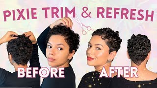 CURLY PIXIE CUT TRIM amp REFRESH  my 100 DIY pixie haircut maintenance and styling [upl. by Htebi]