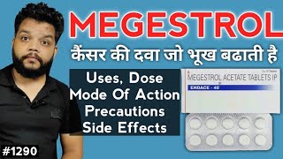 Megestrol Acetate UsesPrecautionsSide Effects  Medicine For Appetite Stimulate [upl. by Akemot]