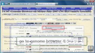 UCSC Genome Browserの使い方～wig形式のファイルをトラックとして追加する～ [upl. by Anahs]