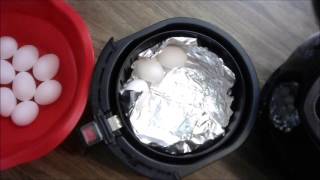 Farberware Air Fryer Boiled Eggs [upl. by Nosnev]