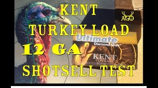 Kent 12 Gauge Turkey Load Shotshell Patterning and Review 2 34 inch Test RGO Ep 34 [upl. by Georgine]