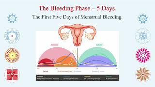 THE PERFECT HUMAN MENSTRUAL CYCLE  Hindi  Ovum  Sperm  Fertilisation  Procreation  Delivery [upl. by Darsey444]