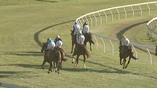 Yeppoon 05082023 Race 5 [upl. by Otinauj771]