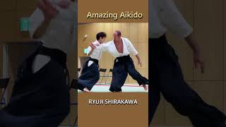 Amazing Aikido × Jujitsu MIX [upl. by Azer304]