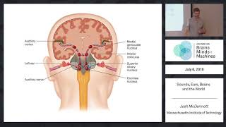 Sound Ears Brains and the World [upl. by Canada]