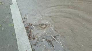 Unclogging Street Drains To Eliminate Flood [upl. by Dewar1]