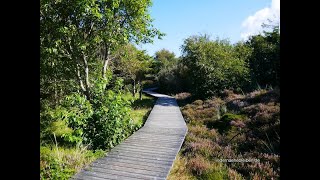 Urlaubs Paradies AmrumMeine Wanderung zum Kniepsand über den Yachthafen und Wriakhörnsee HD 720p [upl. by Sverre]