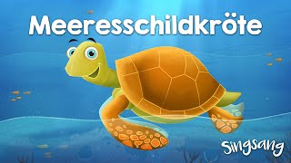 Meeresschildkröte – Singsang – Lieder für Kinder [upl. by Malva]