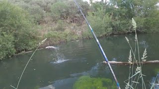 Pesca en alta Montaña Ultimo video 2021 y compilación  Tramo arec [upl. by Acimahs]