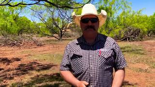 Distance Learning Series Clearing Mesquites Trees [upl. by Eluj]