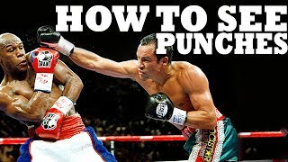 How to See a Punch Coming in Boxing MMA or Street Fight [upl. by Jaddo]