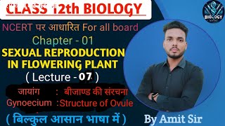 Gynoecium  Structure of Ovule  Sexual Reproduction in Flowering plants  Biology With Amit [upl. by Flinn]