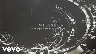 Miossec  Mammifères aux Bouffes du Nord Teaser [upl. by Yuzik]