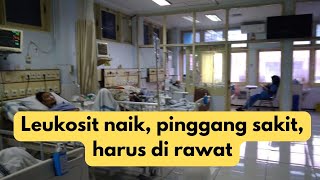 leukosit tinggi dikit harus di rawat [upl. by Allegna268]