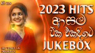 Best Sinhala Songs Nonstop 2023  New Trending Sinhala Songs  Best Sinhala songs dj nonstop [upl. by Annoyed]