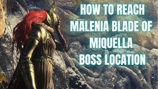 HOW TO REACH MALENIA BLADE OF MIQUELLA BOSS LOCATION  ELDEN RING [upl. by Yelrehs]