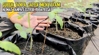 Membuat Irigasi Tetes  Sistem Drip Hidroponik amp Non Hidroponik  TUTORIAL LENGKAP [upl. by Euqinoj976]