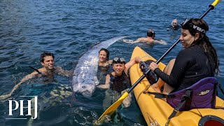 Harbinger of Doom Giant Mystical Fish Found Floating off California Coast [upl. by Searle933]