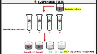 Pharmaceutical microbiology  Laboratory Evaluation of disinfectant شرح بالعربي [upl. by Ardath]