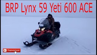 Снегоход BRP Lynx 59 Yeti 600 ACE Разгон с места до 100 кмч [upl. by Oelgnaed]