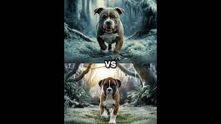 pitbull puppy vs Boxer puppy  German Shepherd Husky Doberman labrador retriever Pointer [upl. by Arlie]