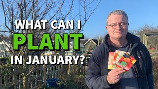 What can I plant in January  Seeds to sow in January [upl. by Durand145]